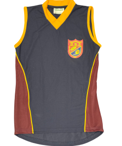 DSJ Sleeveless V-Neck Vest