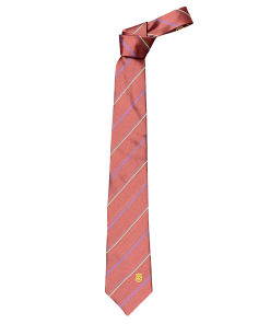 DSJ Tie
